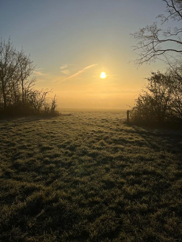 Winter sunrise in Somerset