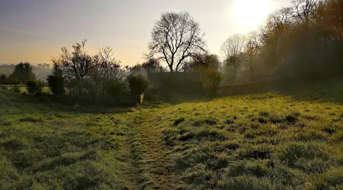 somerset-meadow-500px Somerset meadow